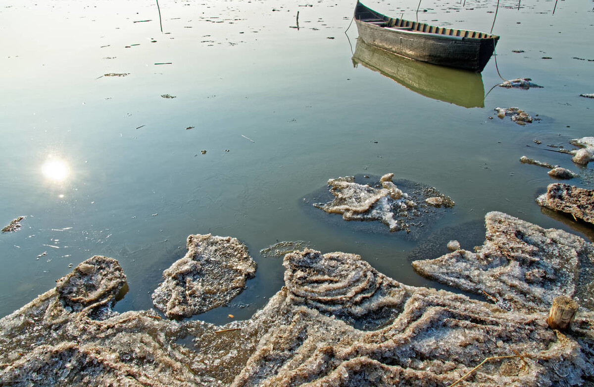 1598337833463210.jpg 1598337833463210.jpg