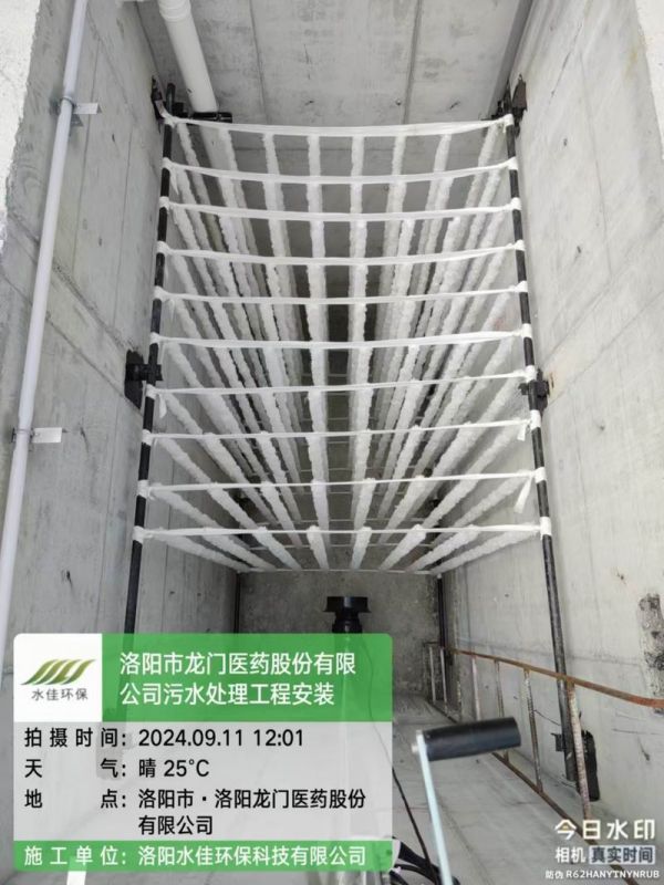 洛陽龍門醫(yī)藥股份有限公司-洛寧 污水處理設備項目